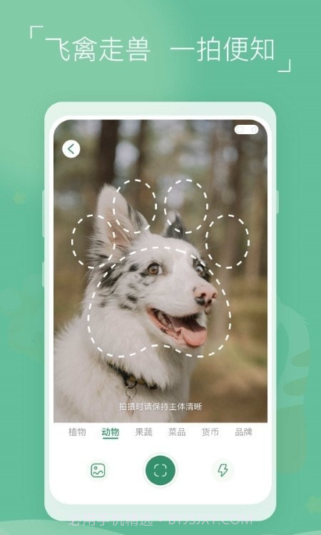 植物识别宝截图1 植物识别宝截图1