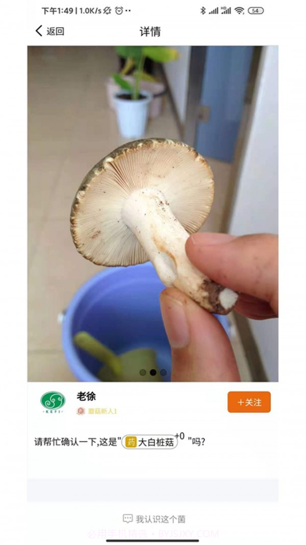 菌窝子截图4 菌窝子截图4