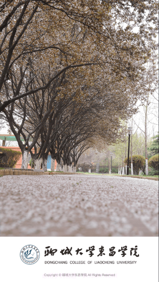 聊城大学东昌学院截图4 聊城大学东昌学院截图4