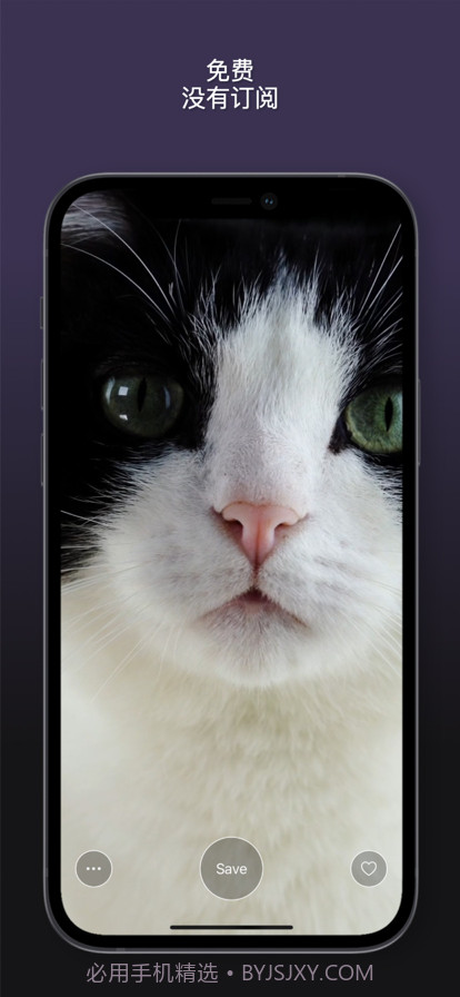 猫动态壁纸截图5