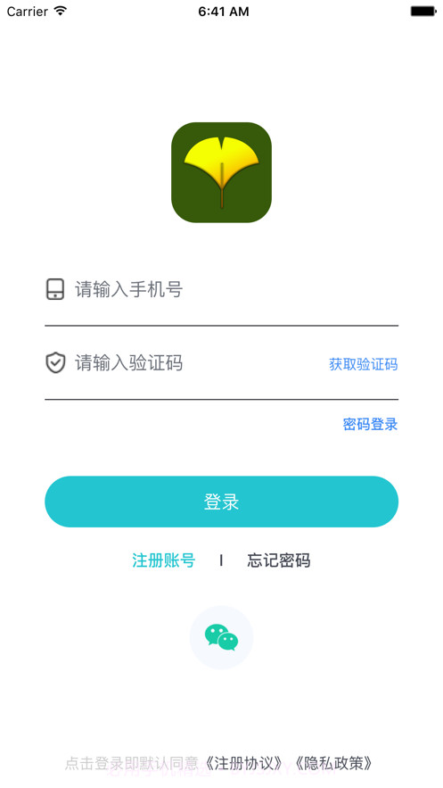 白果树截图1