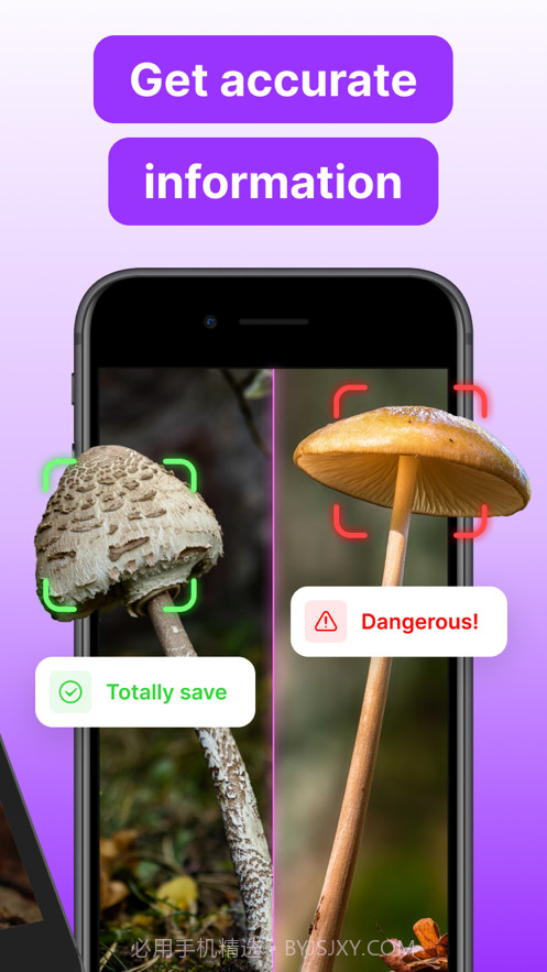 蘑菇标识符截图2
