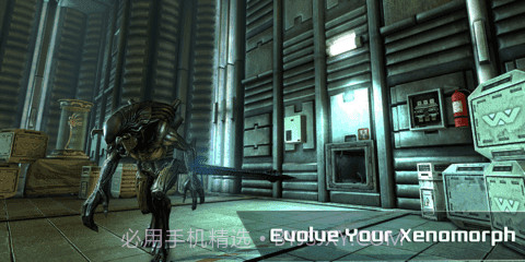 异形大战铁血战士进化中文版截图1