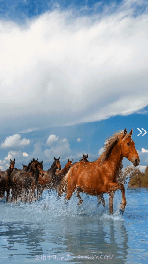 昭苏好地方截图3