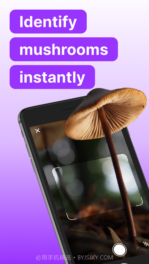 蘑菇标识符截图1