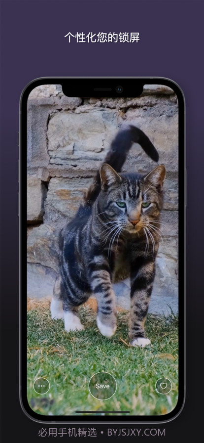 猫动态壁纸截图4