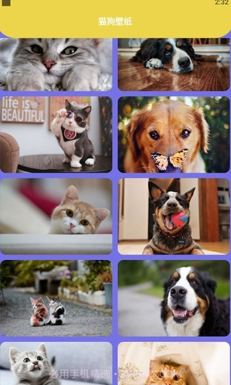 狗生模拟交流器截图3 狗生模拟交流器截图3