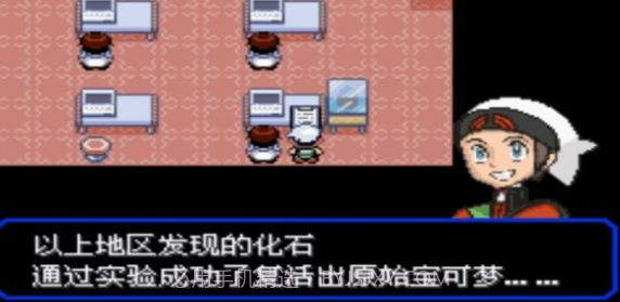 口袋妖怪花月残版截图3