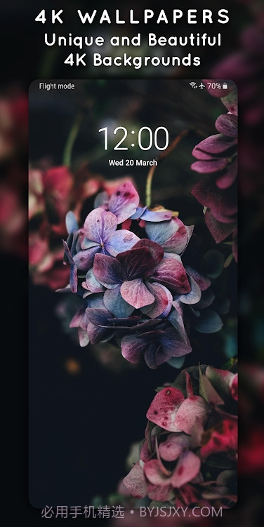 4K3D动态壁纸截图5