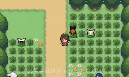 口袋妖怪剑盾gba铠之孤岛金手指截图1 口袋妖怪剑盾gba铠之孤岛金手指截图1