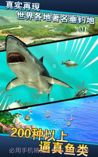 钓鱼发烧友截图4