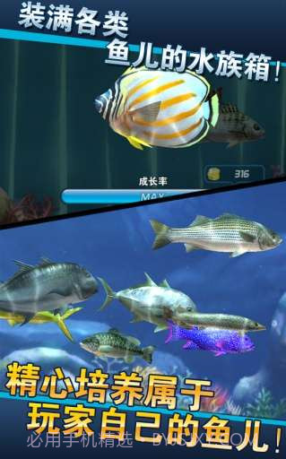 钓鱼发烧友截图3