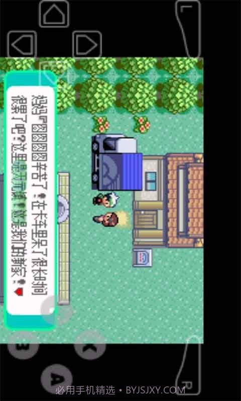 口袋妖怪暗之冰花截图3