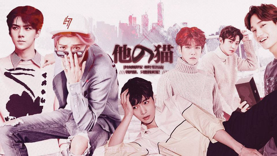 他的猫截图2 他的猫截图2