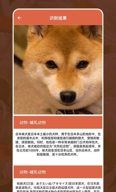 动植物识别大全截图1