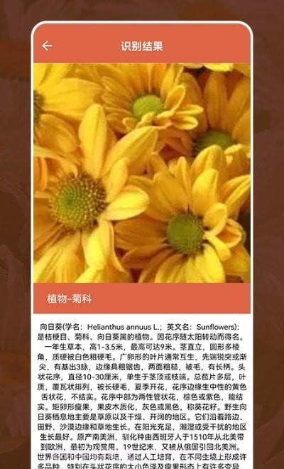 动植物识别大全截图2