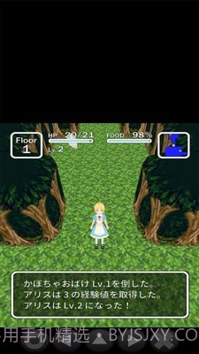 爱丽丝与不思议的迷宫截图5