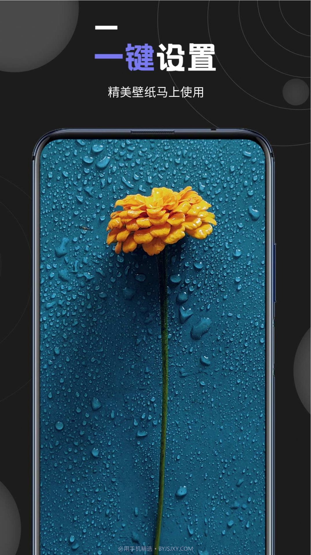 个性壁纸大全截图4