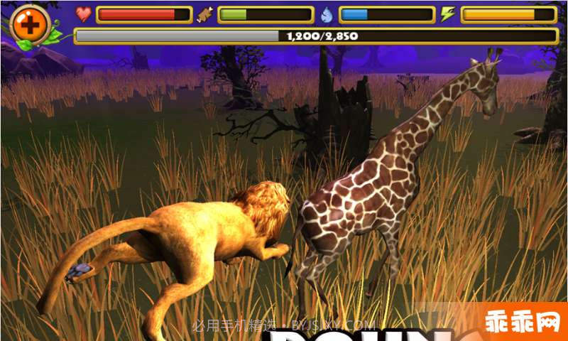 狮子模拟截图4