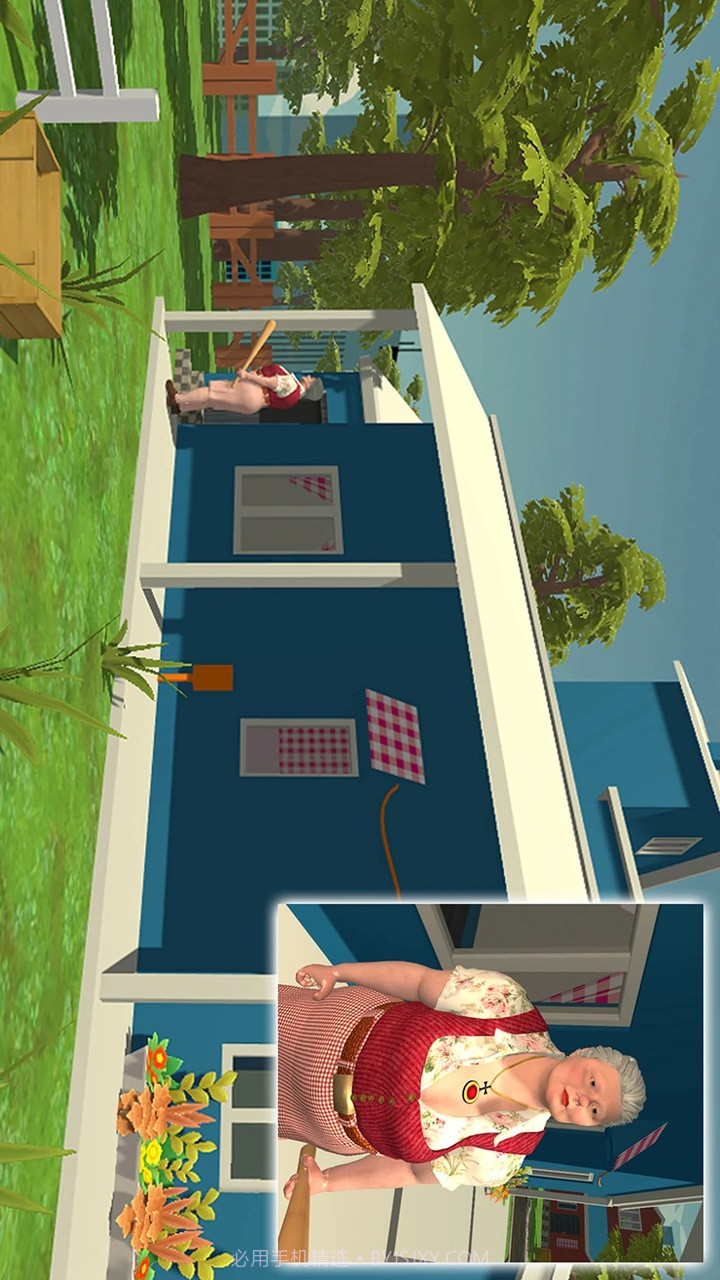 暴躁老奶奶4截图4