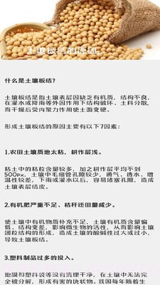 治愈田园生活截图2 治愈田园生活截图2