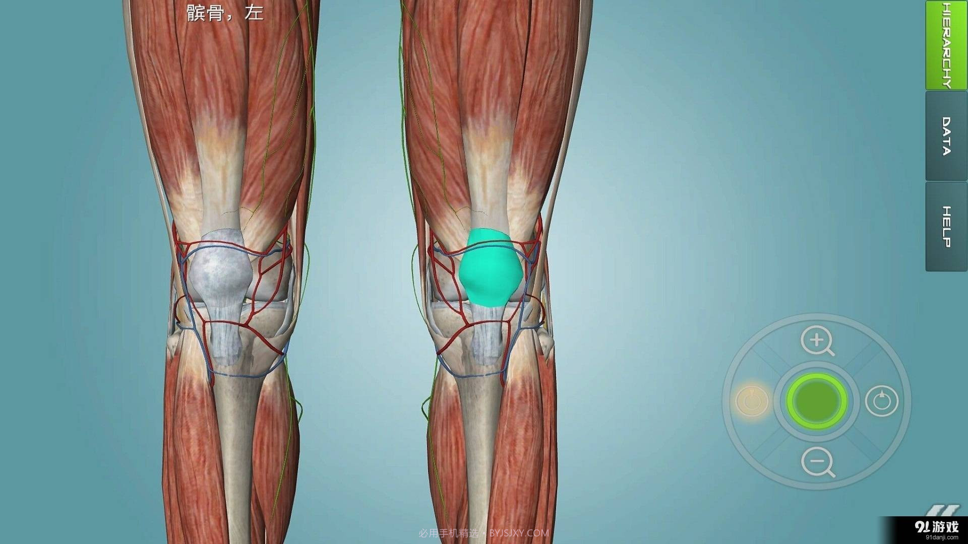 人体解剖学图集截图3 人体解剖学图集截图3