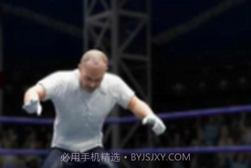 拳击明星赛截图5