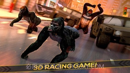 狂暴金刚截图2 狂暴金刚截图2