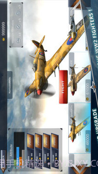 3D空战二战雄鹰截图3