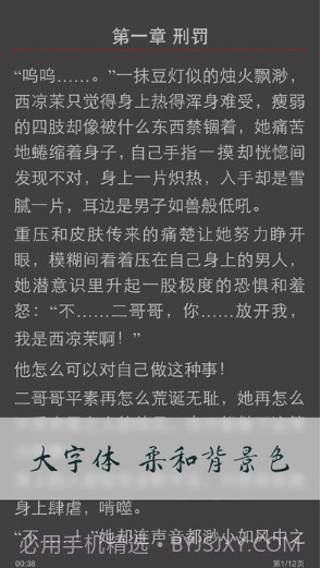 小说连载阅读截图4