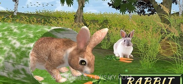 兔子模拟器截图1
