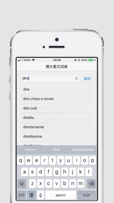 博大意汉词典截图2