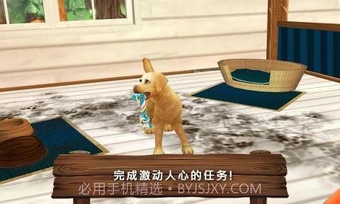 动物旅馆正版截图5