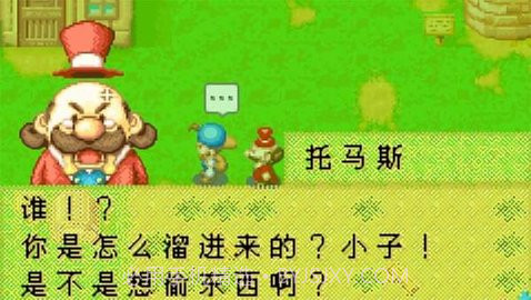 牧场物语截图3 牧场物语截图3