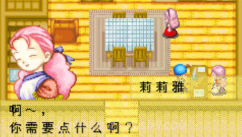 牧场物语截图1 牧场物语截图1