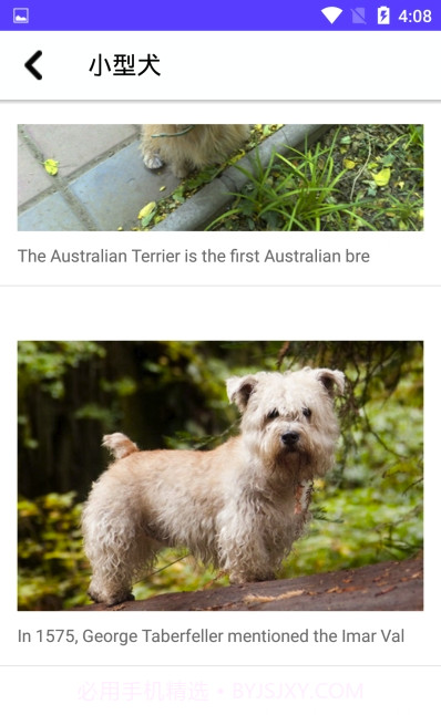 狗狗图鉴(专业动物科普图鉴)安卓正式版截图1