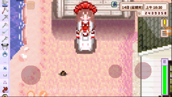 星露谷物语法师结婚mod美化包截图3