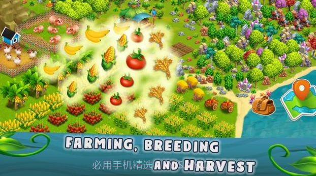 金刚岛(Kong Island)截图1 金刚岛(Kong Island)截图1