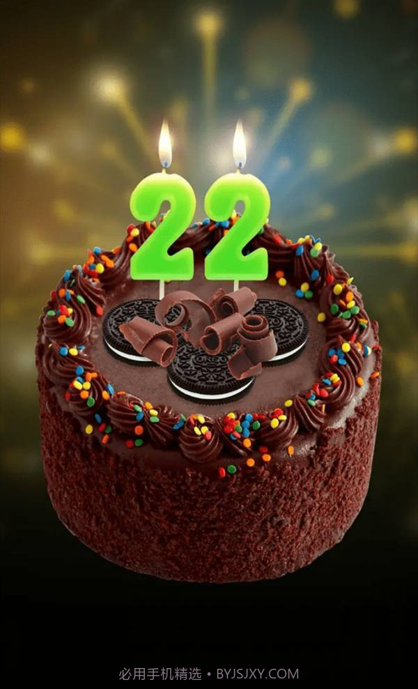 手机里的生日蛋糕截图4