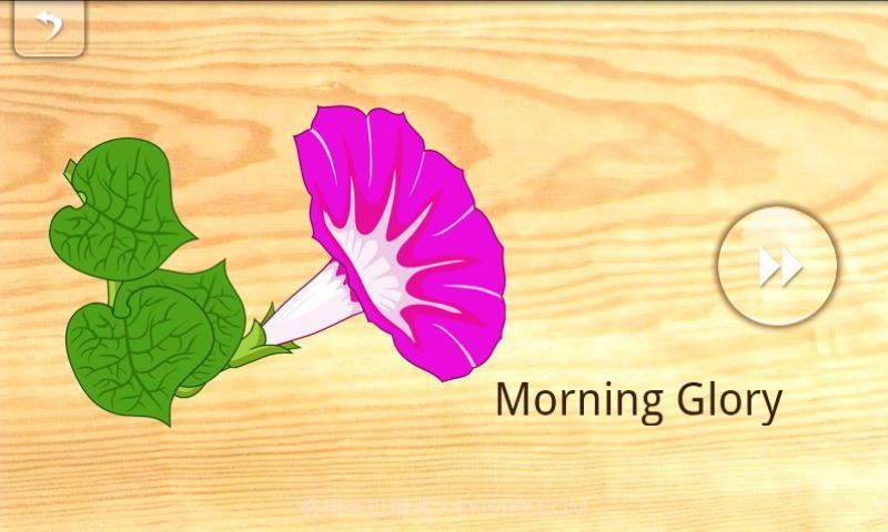 宝宝拼图：植物截图4