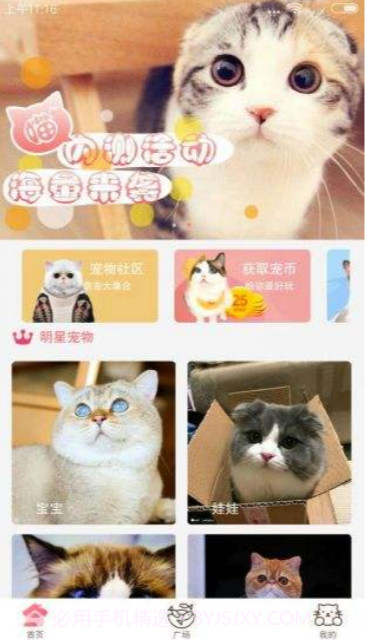 猫咪截图3