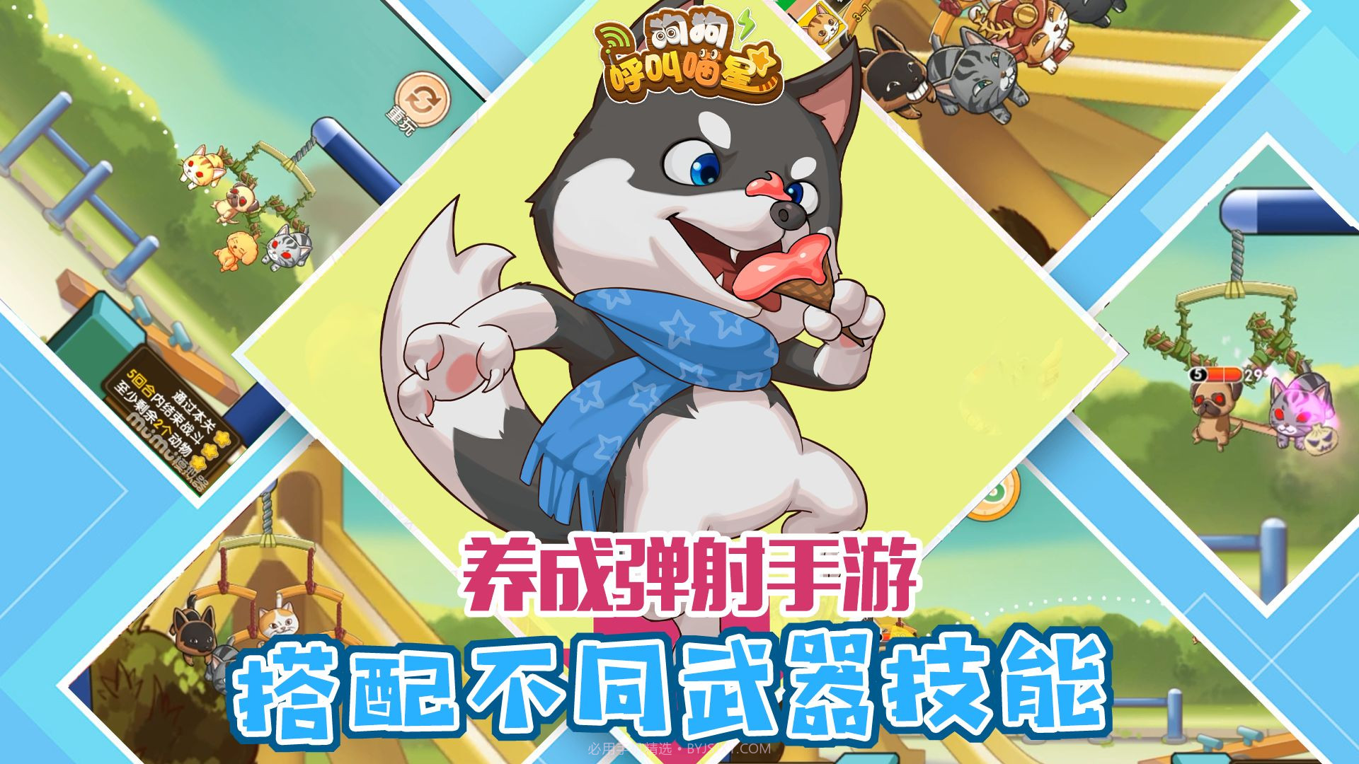 狗狗呼叫喵星测试服截图1