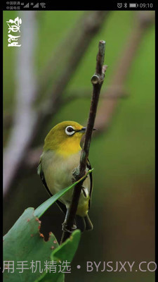 辣问互助app(辣问互助答题)V1.0.1 截图2