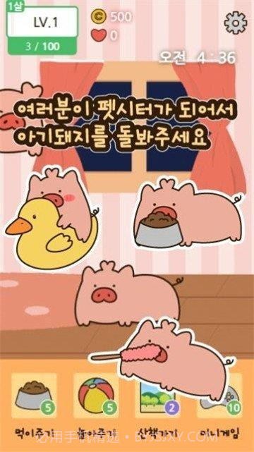 饲养小猪截图1 饲养小猪截图1