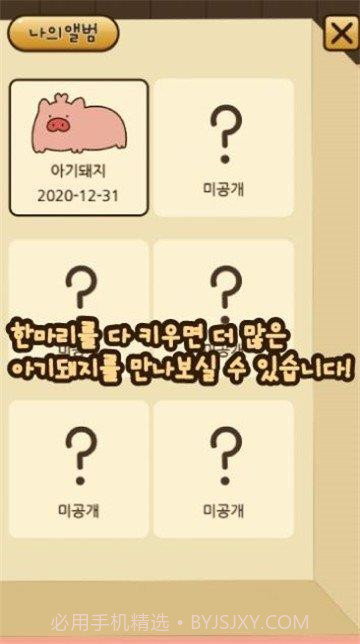 饲养小猪截图2 饲养小猪截图2