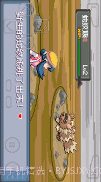 口袋妖怪暗兽神截图4