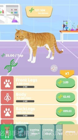 动物进化实验截图3