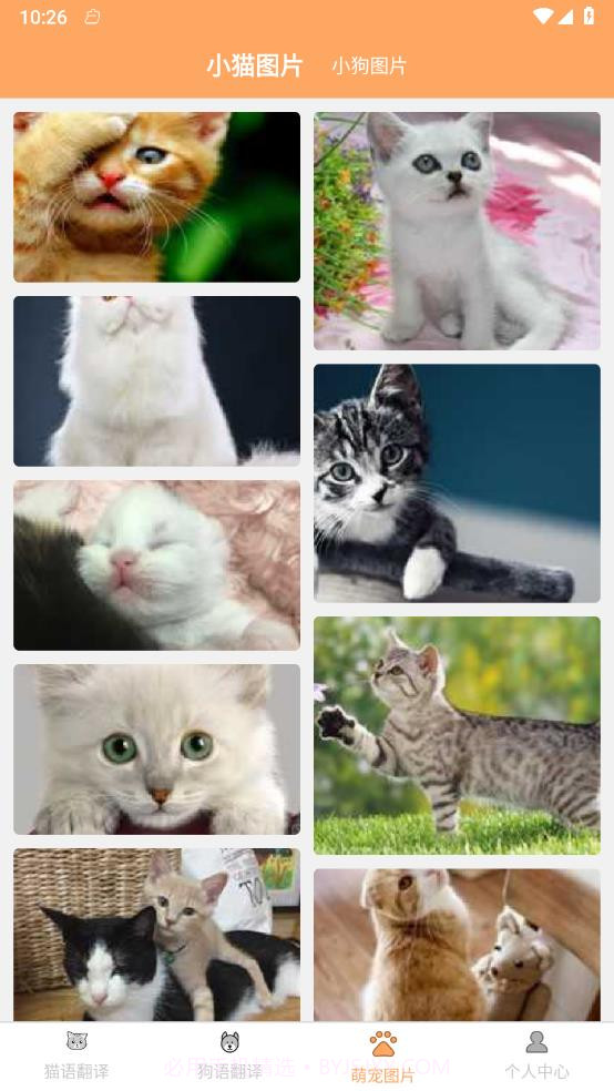 喜晟猫狗翻译截图2