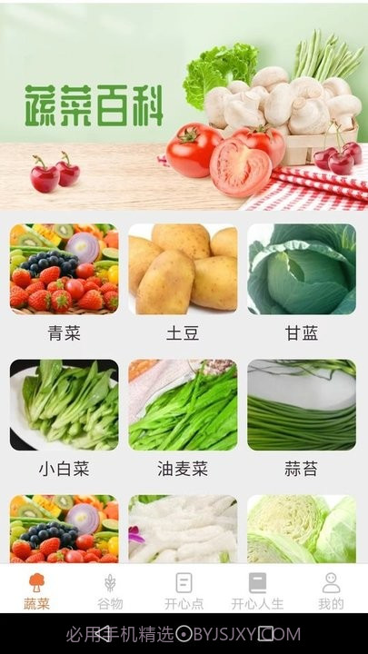 绿色菜园子截图4