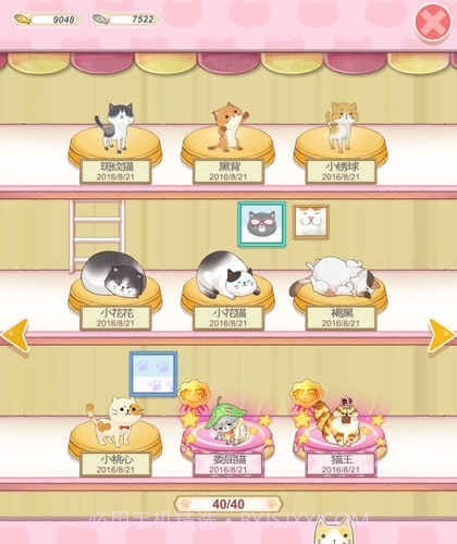 猫宅日记截图3 猫宅日记截图3